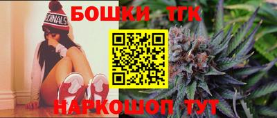 индика Гусь-Хрустальный