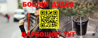индика Гусь-Хрустальный