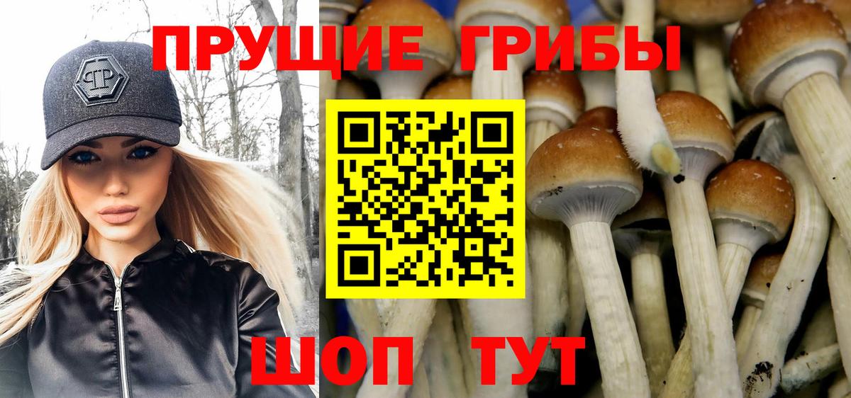 купить  сайты  Вход с VPN  Заринск  Галлюциногенные грибы GOLDEN TEACHER 